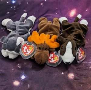 🐶🫎🐺 Ty Beanie Baby Bundle: Bruno, Chocolate, Nanook NWT